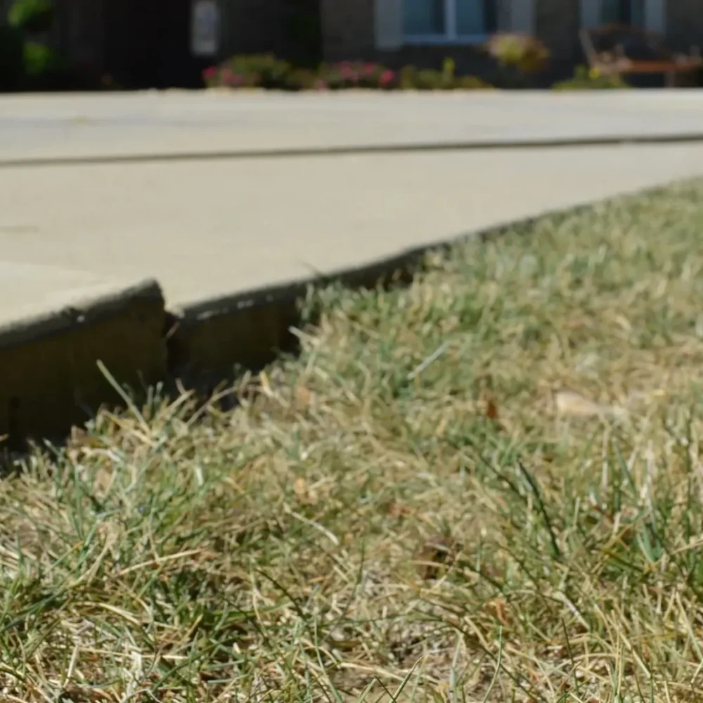 Exterior_Concrete_Leveling_Driveway_Before